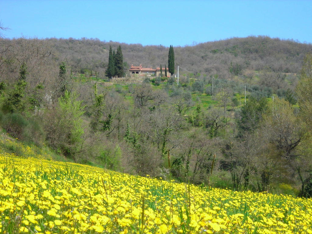 Allegro Agriturismo Argiano Arezzo Exterior photo