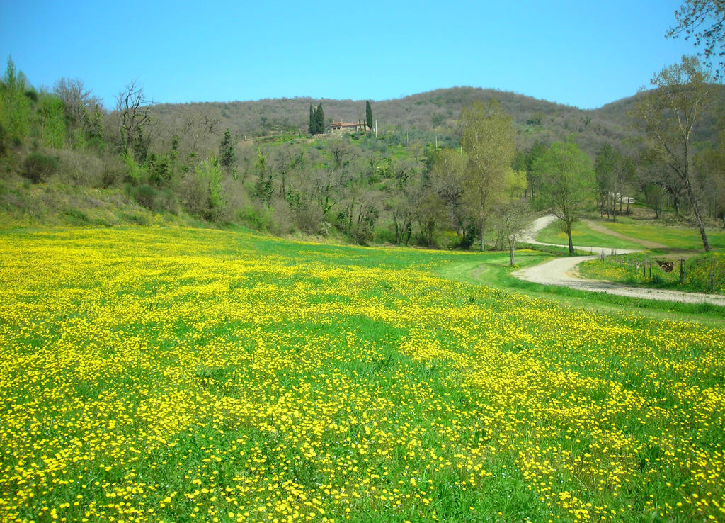 Allegro Agriturismo Argiano Arezzo Exterior photo
